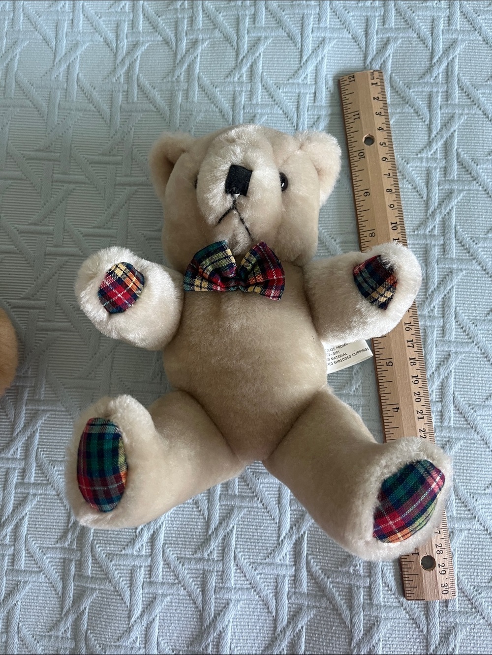 Bears - Picture 6 of 8